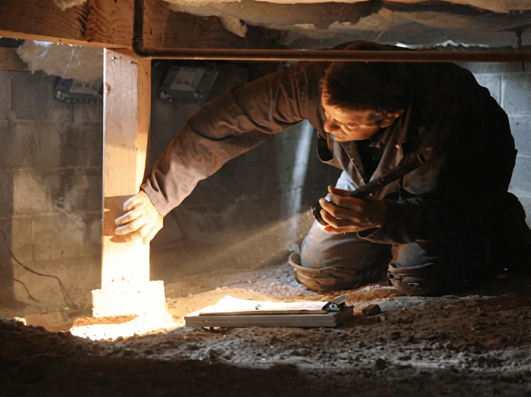 A professional inspecting wooden beams under the floor of a structure in Little Rock, AR